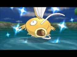 Binary Option Tutorials - trading leader Pokemon Trading Card Game - Club Le